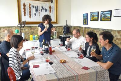 Los vinos secretos de Navarra